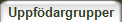 Uppfdargrupper